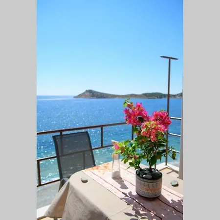 Ferienhaus Effies House