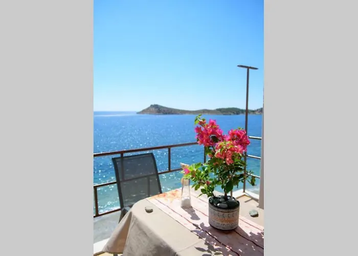 بيت للعطل Effies House