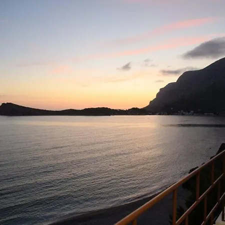 Effies House Myrties