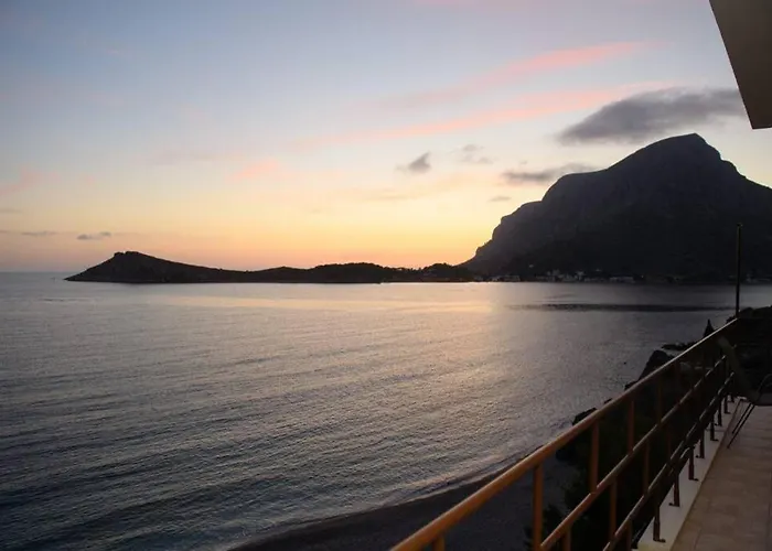 Effies House Myrties